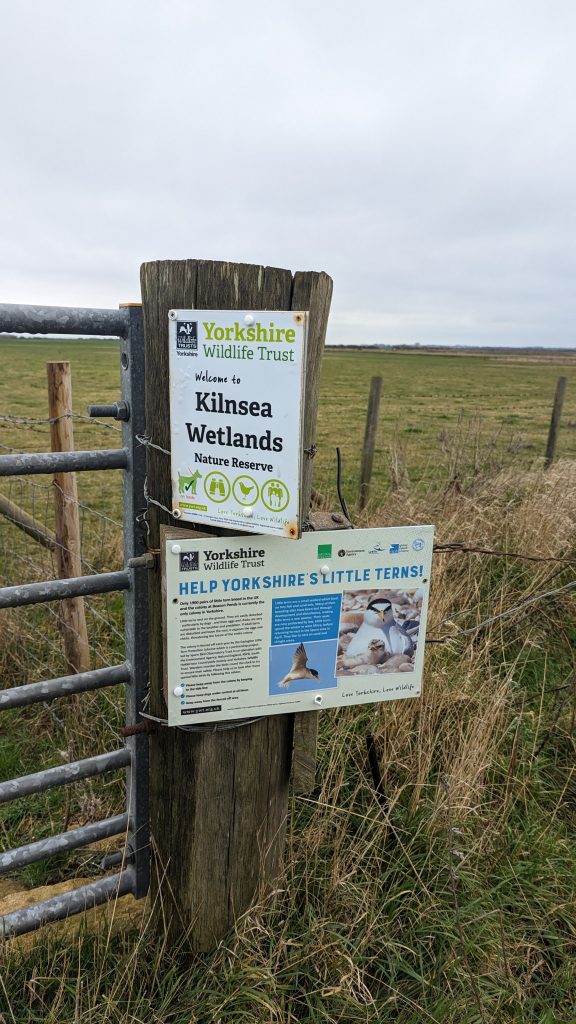 Wooden fence post holds up two signs - one reads "Welcome to Kilnsea Wetlands Nature Reserve" and the other displays information on the local little tern population. Grassland is visible in the background.