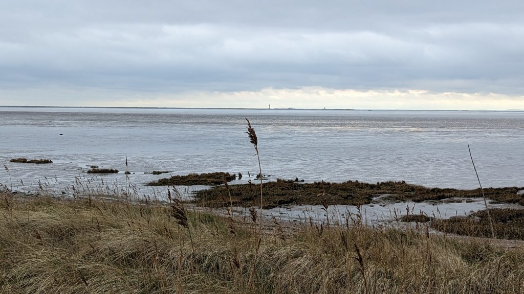 A view of marram grass on a sand dune, overlooking a salt marsh which leads out to the ocean. Spurn Point is faintly visible in the distance.