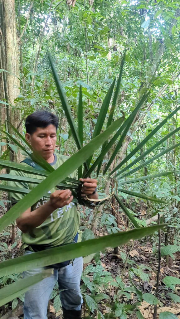 Indigenous man weaving leaves into a sunhat in the Ecuadorian Amazon rainforest.