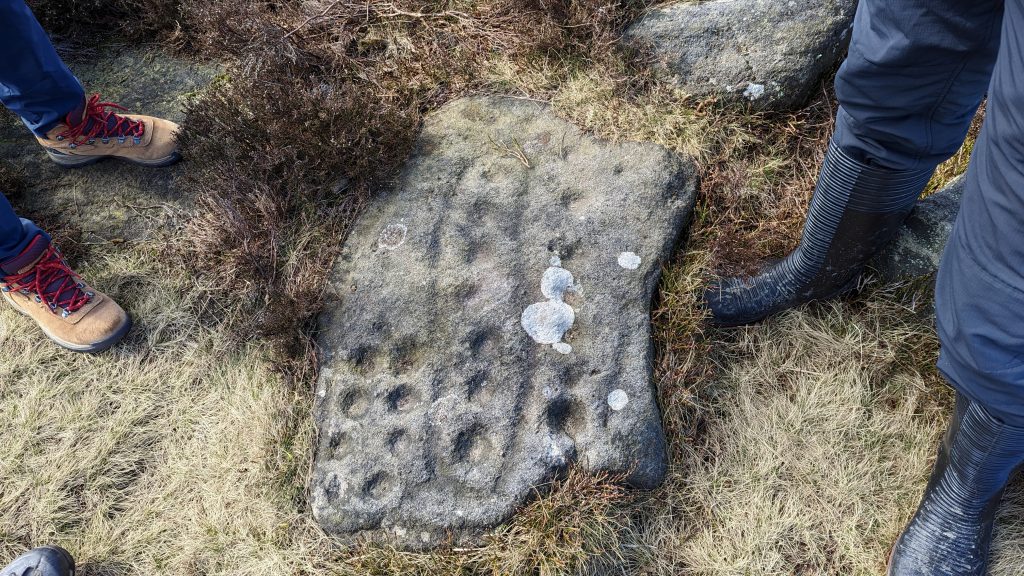 A rock in the ground with carved divots, known as a cup & ring marked rock from the Bronze age. 