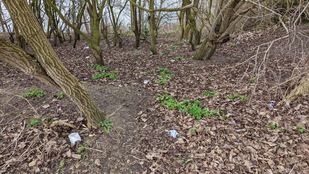 The ground is covered in leaf litter and at least 6 crumbled up beer cans lay on the floor within the scrubland.